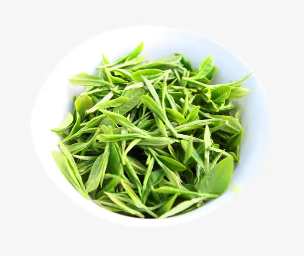 展开的毛尖茶底免抠