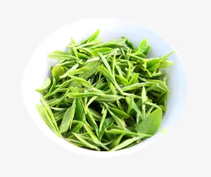 展开的毛尖茶底免抠