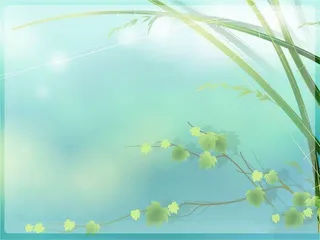 小清新绿叶背景图片