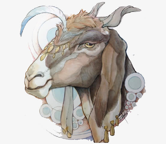 驴子免抠