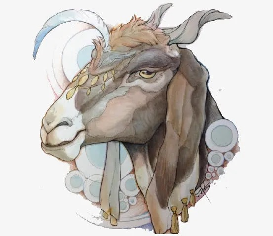 驴子免抠