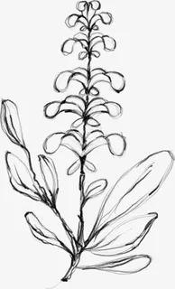 水墨花朵元素46免抠