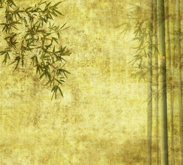 陈旧竹背景素材