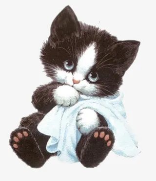 黑白小猫免抠