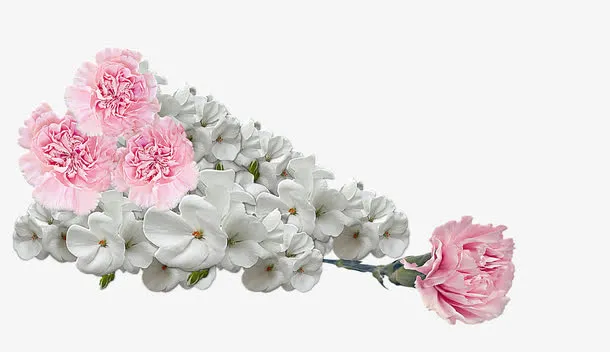 一束盛开的鲜花免抠