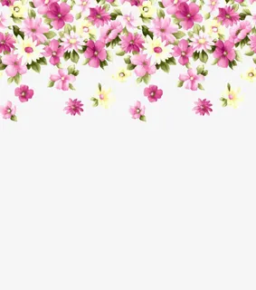 风红色五瓣花免抠