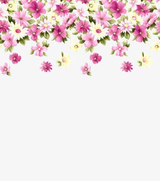 风红色五瓣花免抠