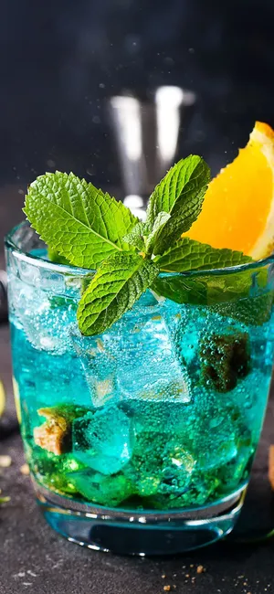 橙子薄荷素材高清