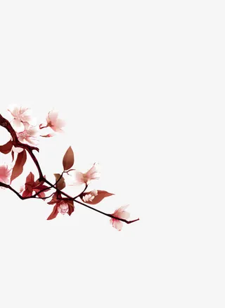 手绘桃花枝免抠