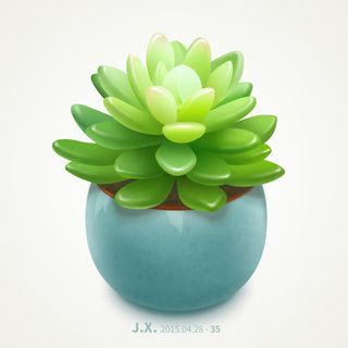 多肉绿色植物免抠