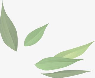 叶子免抠