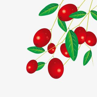 卡通红枣免抠