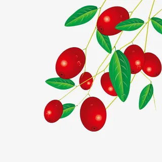 卡通红枣免抠