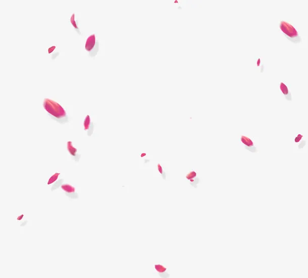 花瓣免抠