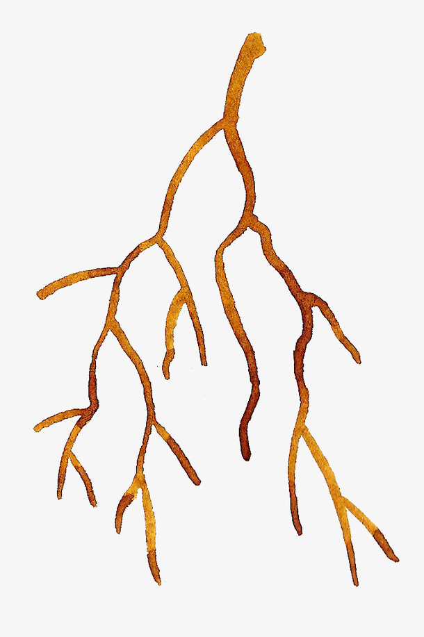 手绘树枝免抠