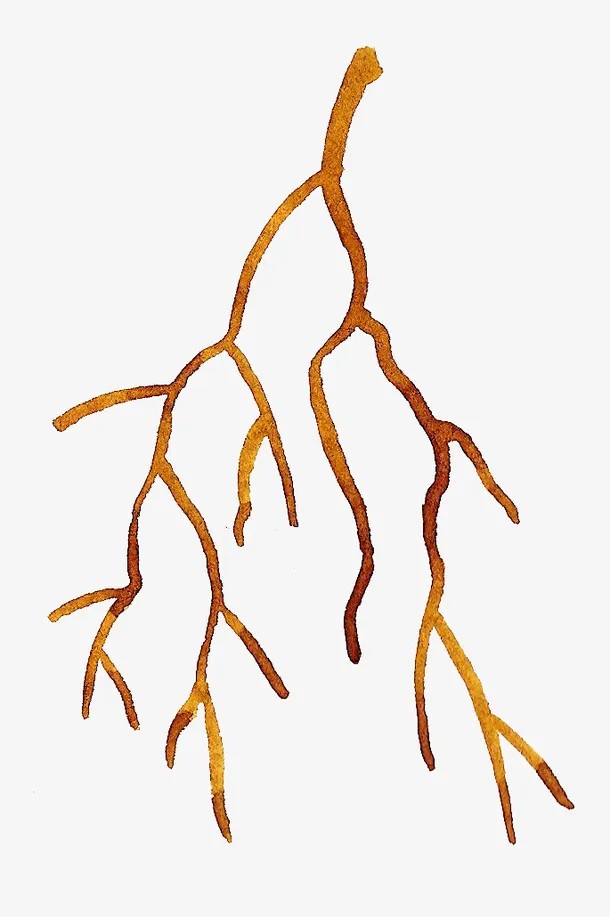 手绘树枝免抠