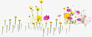 春天黄粉色花海装饰免抠