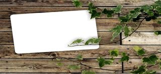 绿色植物与木头纹理边框背景高清