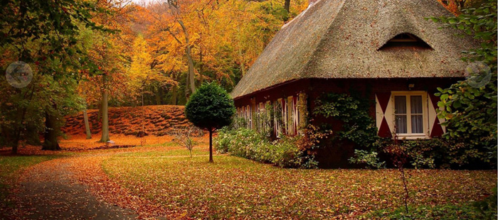 唯美秋季枫叶小屋背景高清