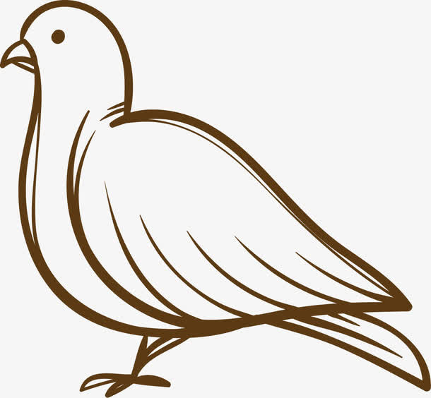 鸽子简笔画免抠