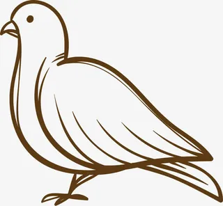 鸽子简笔画免抠