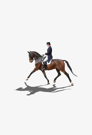 骑士骑马骑行免抠