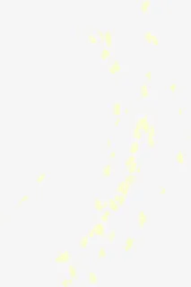 漂浮黄色花瓣免抠