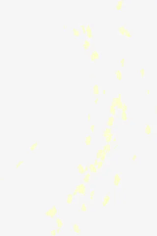 漂浮黄色花瓣免抠