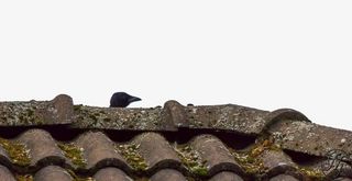 中式风格瓦片图免抠