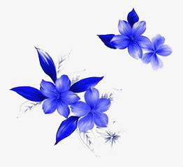 简约手绘花免抠