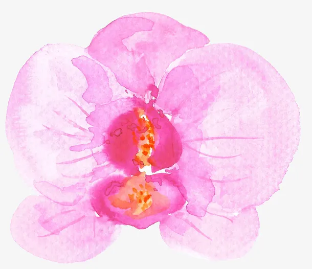 花朵免抠