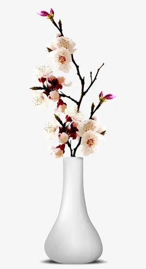 梅花花瓶免抠素材免抠 梅花花瓶免抠素材免抠