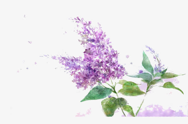 薰衣草漂浮图片素材免抠