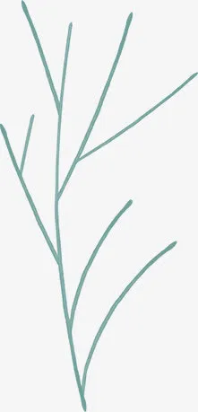 手绘蓝色清新树枝免抠