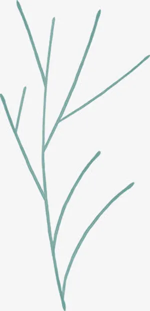 手绘蓝色清新树枝免抠