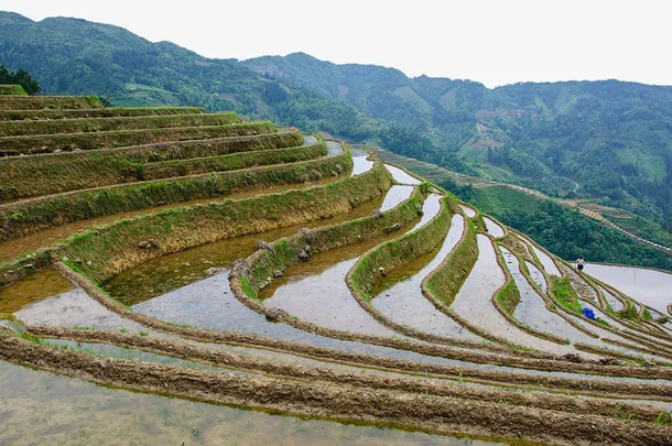 云南梯田免抠背景摄影风景元素