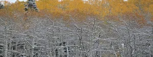 淘宝banner高清