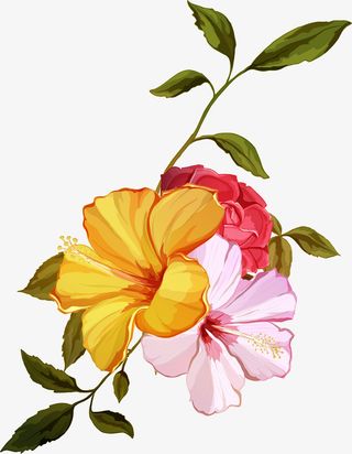 手绘水彩花朵鲜花免抠