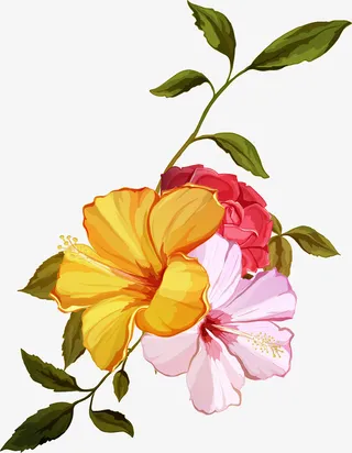 手绘水彩花朵鲜花免抠