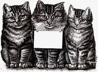 黑色三猫框免抠