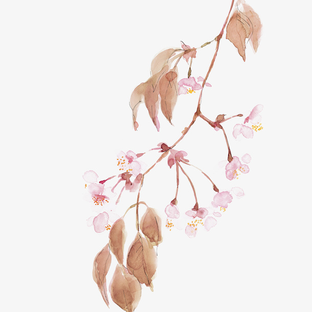 手绘花朵免抠