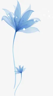 梦幻蓝花免抠