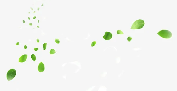 漂浮树叶免抠
