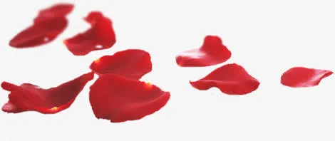 飘散玫瑰花瓣情人节免抠