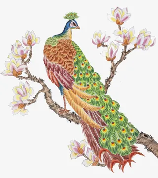 手绘孔雀免抠