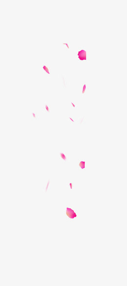 粉色花瓣免抠