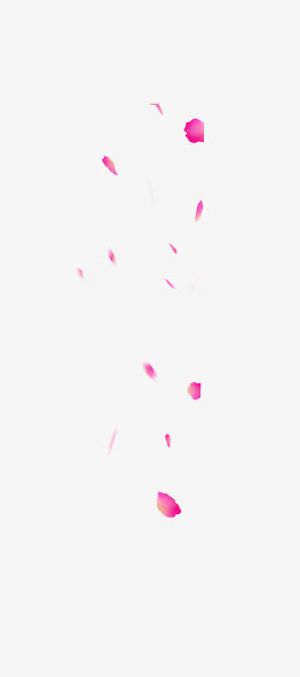 粉色花瓣免抠