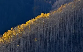 风景,背景,png,素材高清