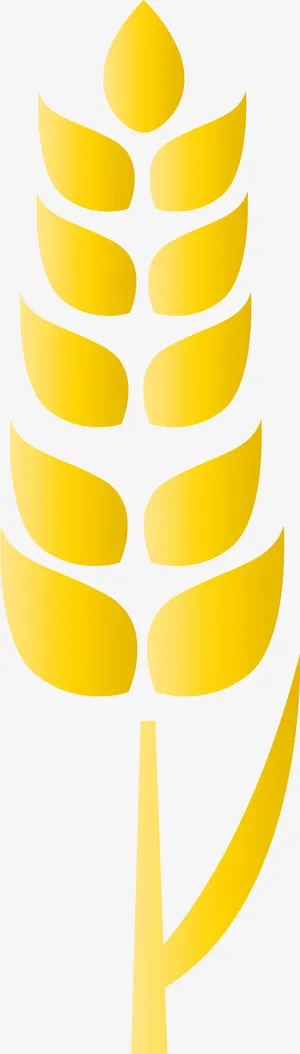 金色稻穗谷物创意图免抠