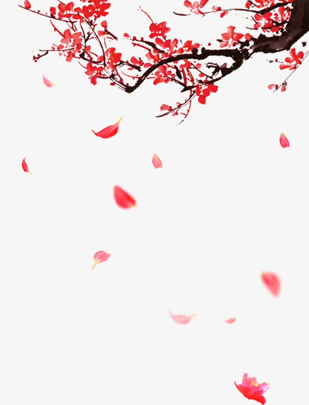 红色梅花免抠